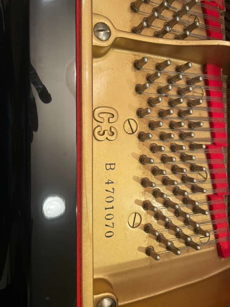 YAMAHA