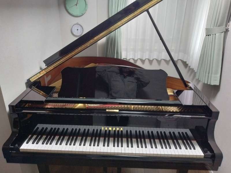 YAMAHA