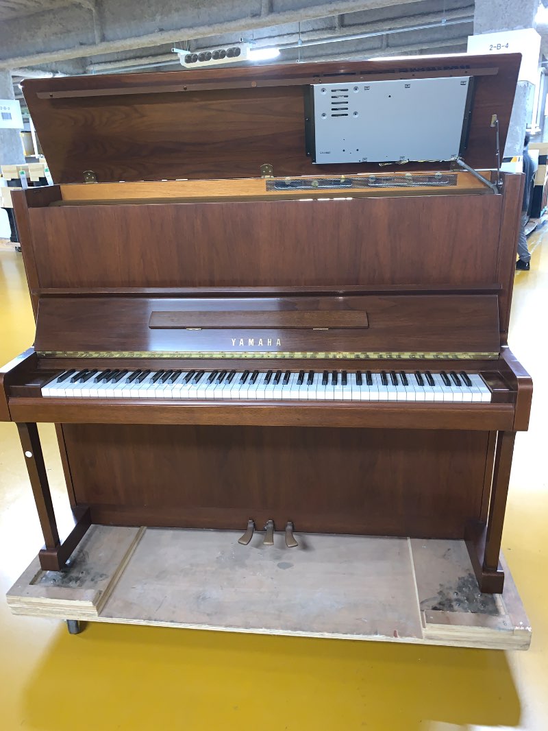 YAMAHA