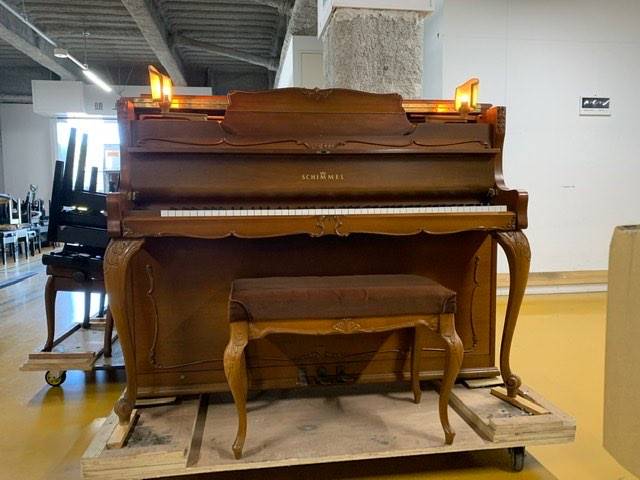 SCHIMMEL