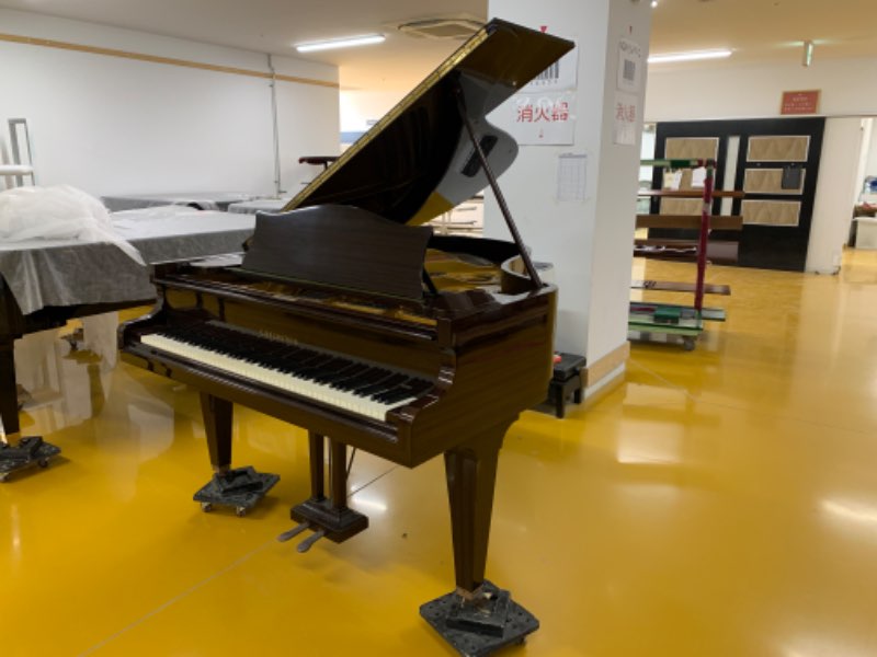 C.BECHSTEIN