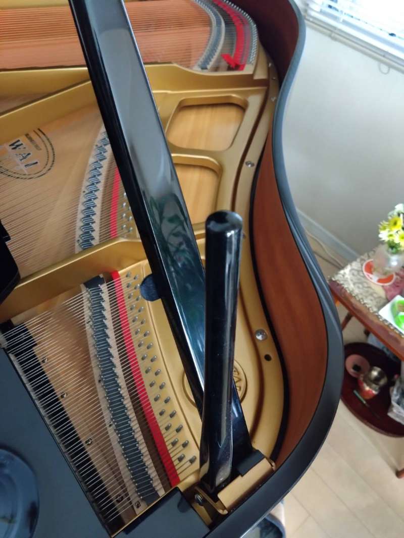 KAWAI