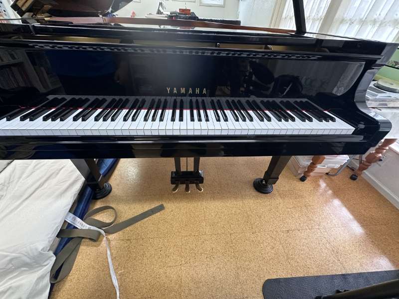 YAMAHA