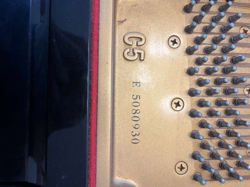 YAMAHA