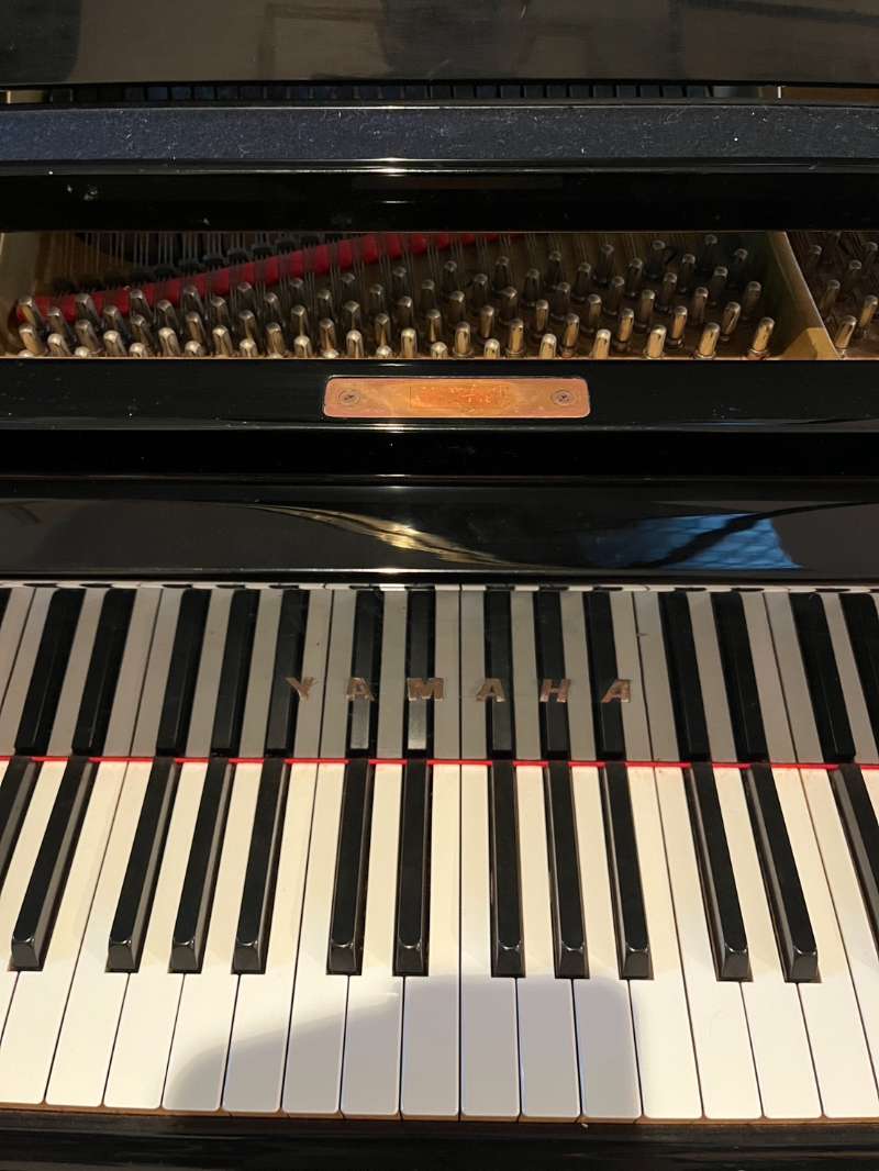 YAMAHA