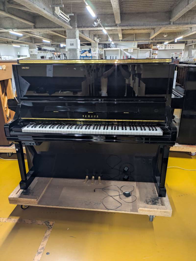 YAMAHA
