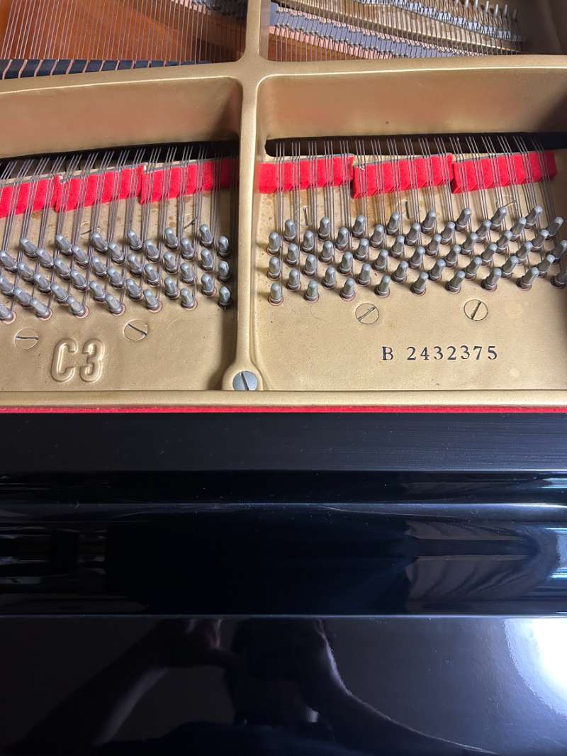 YAMAHA