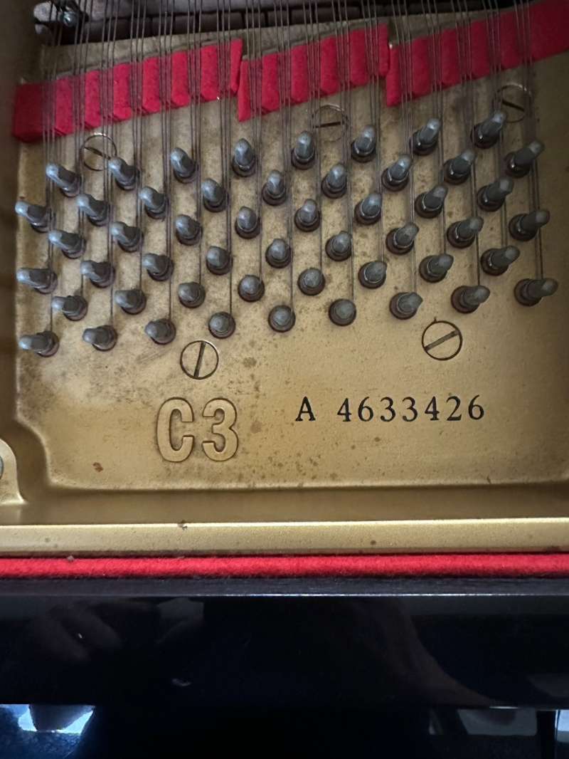 YAMAHA