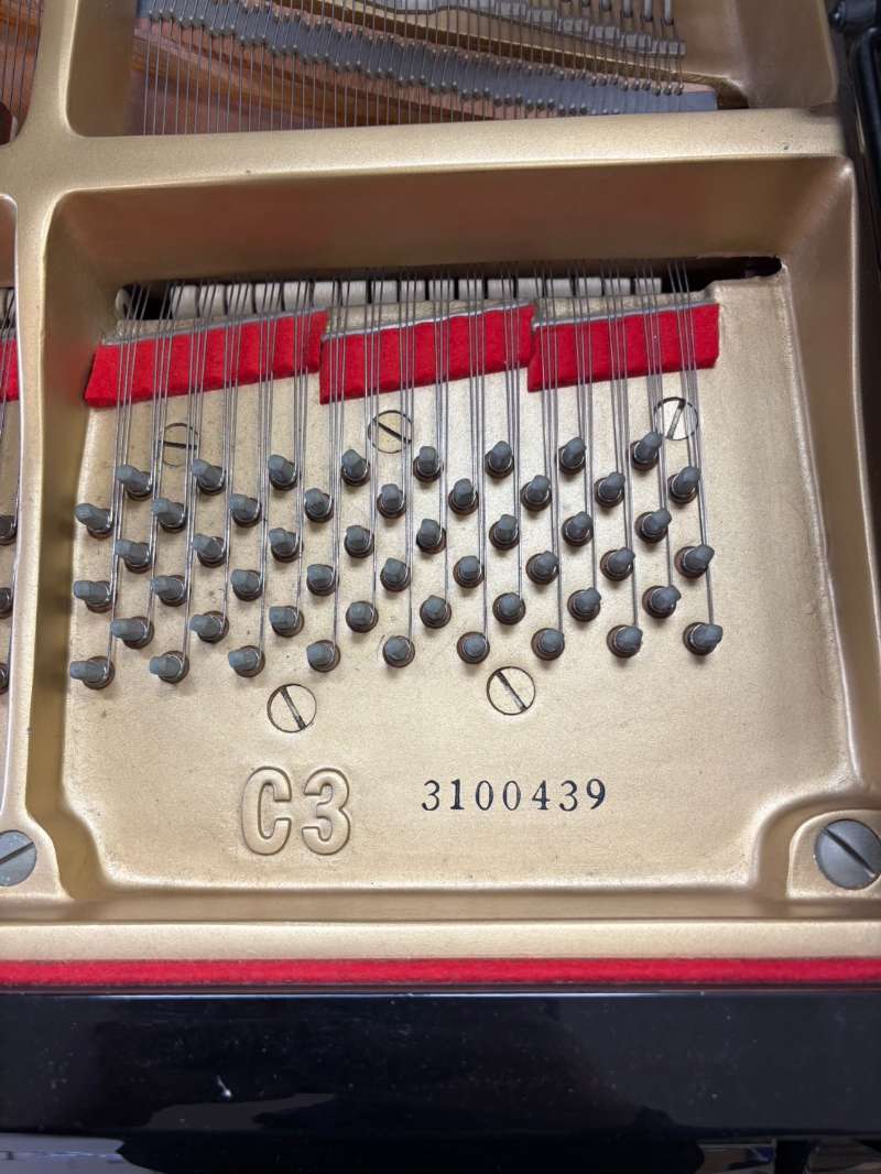 YAMAHA