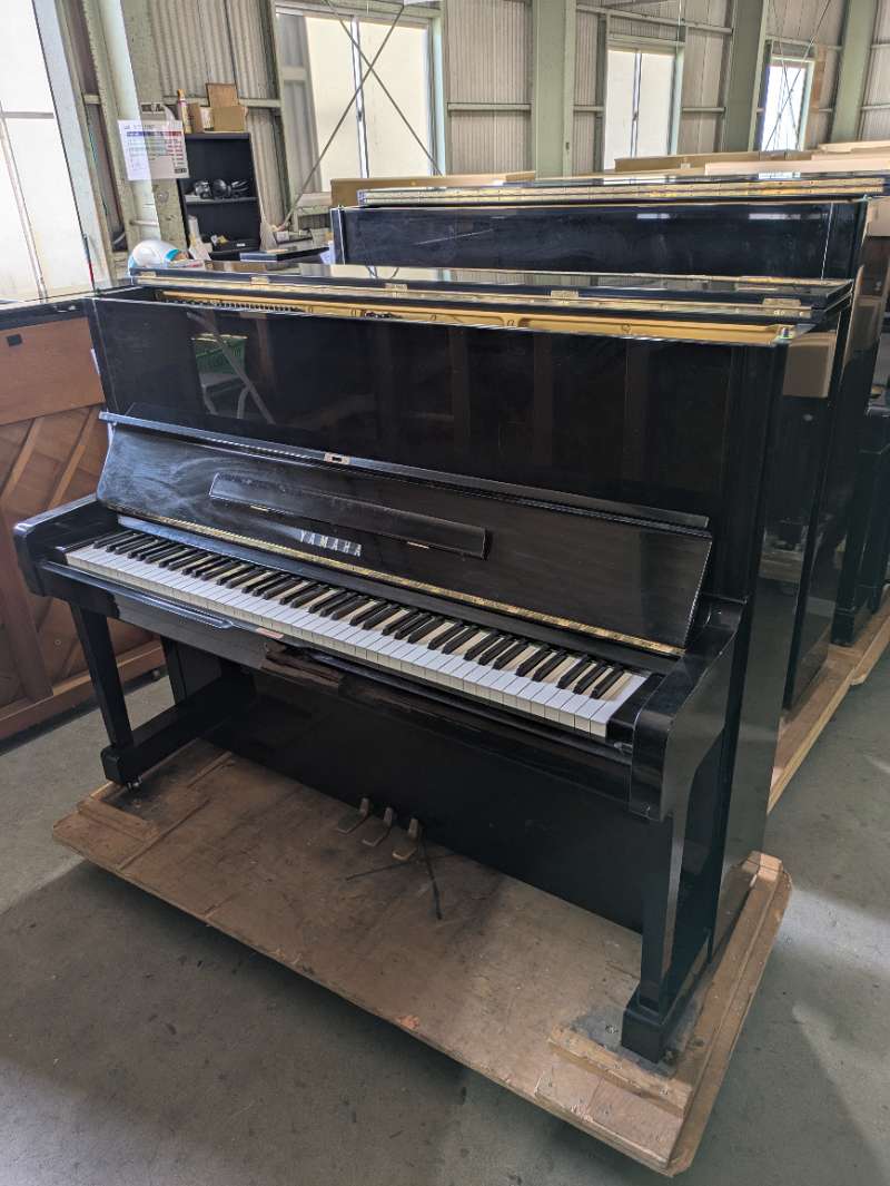 YAMAHA