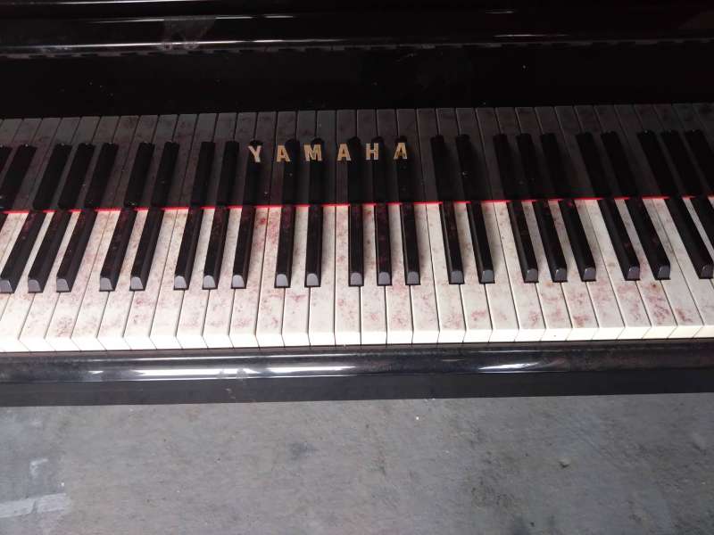 YAMAHA