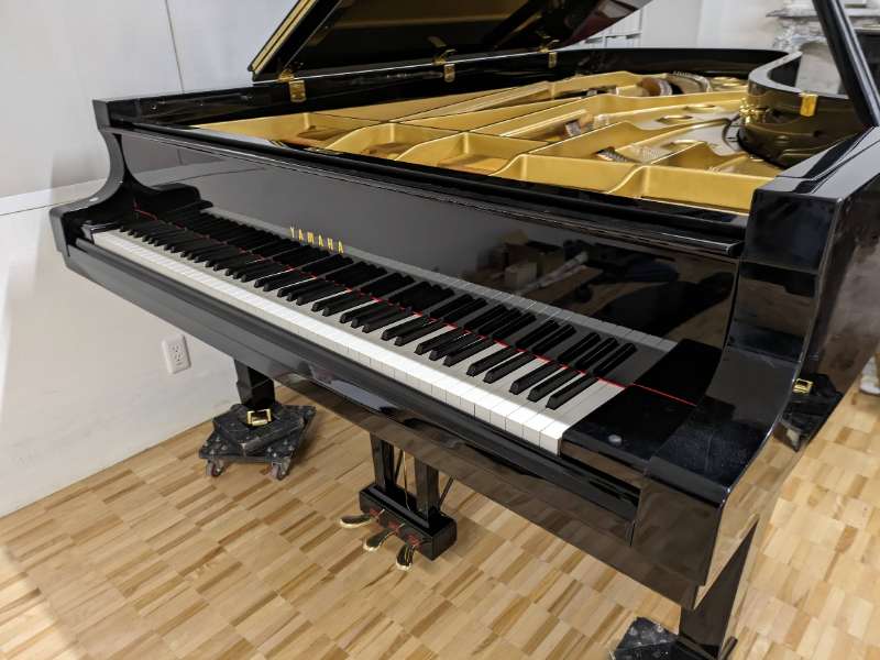 YAMAHA
